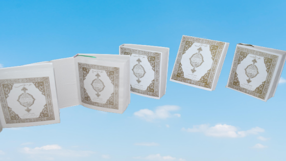 صور البرايل